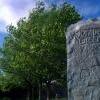 12-15 yr olds 1 Calum Stewart Juniper Green Monument